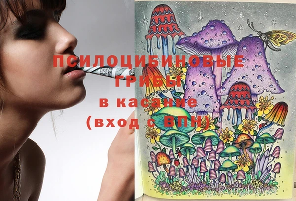марки nbome Аркадак