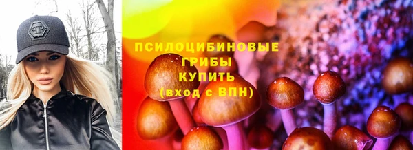марки nbome Аркадак