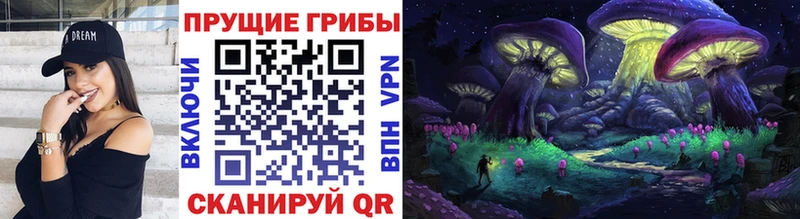 omg зеркало  Вилючинск  Галлюциногенные грибы мухоморы 